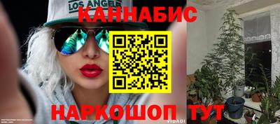 спиды Жуковский