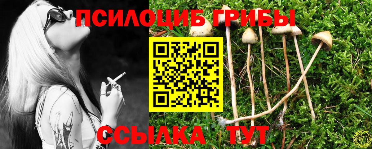 Галлюциногенные грибы Cubensis Сунжа