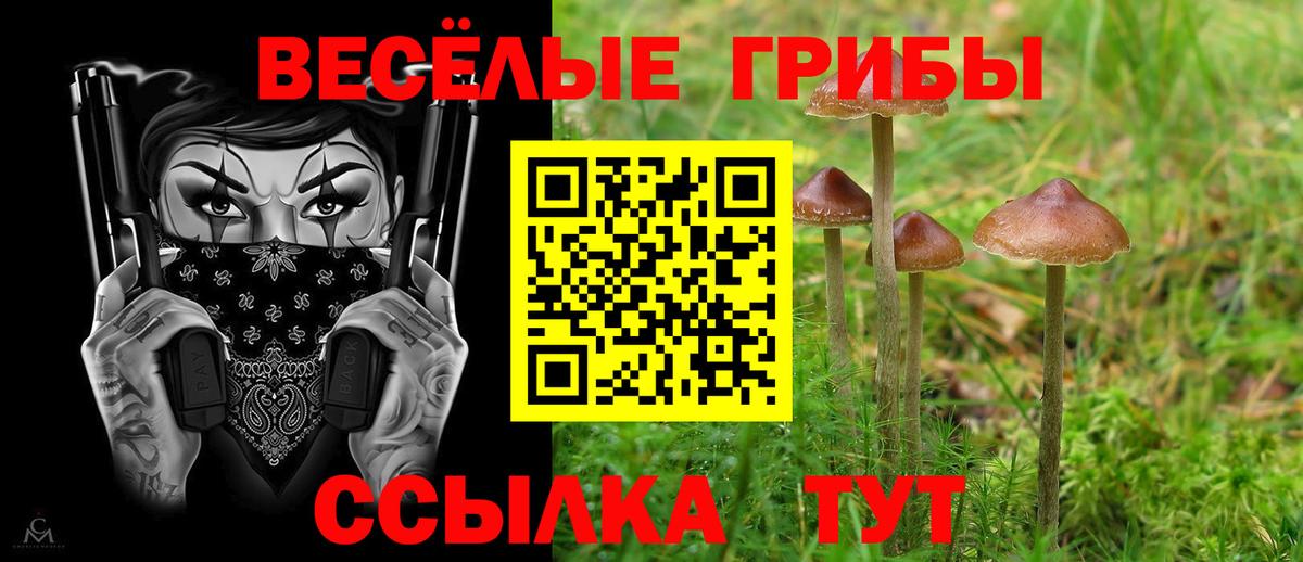Сунжа  Псилоцибиновые грибы мухоморы  Вход с VPN  Псилоцибиновые грибы Magic Shrooms 